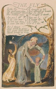 Masumiyet ve Deneyim Şarkıları, Plate 48, The Fly (Bentley 40) by William Blake