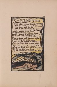 Masumiyet ve Deneyim Şarkıları, Plaka 50, Bir Zehir Ağacı (Bentley 49) by William Blake