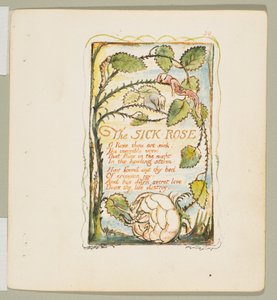 Masumiyet ve Deneyim Şarkıları: Hasta Gül, yaklaşık. 1825. by William Blake
