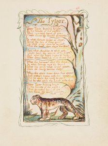 Masumiyet ve Tecrübe Şarkıları: The Tyger, c.1825 (sulu boya ile elle boyanmış kahverengi mürekkeple oyma) by William Blake