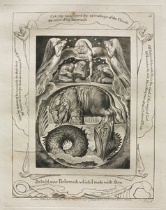 Eyüp Kitabı: Pl. 15, işte şimdi seninle yaptığım Behemot by William Blake