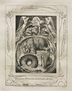 Eyüp Kitabı: Pl. 15, İşte şimdi seninle yaptığım Behemot, 1825. by William Blake
