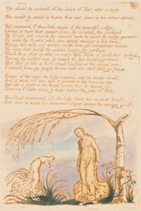 Thel Kitabı, Levha 4, Neden metresi olsun . . . . by William Blake