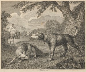 Köpek ve Tilki by William Blake