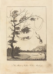 Mecoo ve Kisbee Kishee Maymunları, 1793. by William Blake