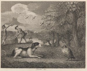 Ayar köpeği ve Keklik by William Blake