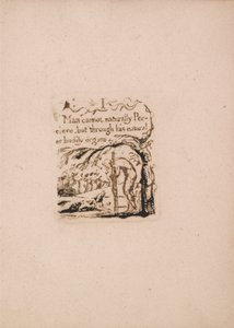 Doğal Din Yoktur, Levha 3, İnsanoğlu doğal olarak yapamam. . . . (Bentley a4) by William Blake