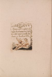 Doğal Din Yoktur, Levha 5, III Bir Algıdan. . . . (Bentley a6) by William Blake