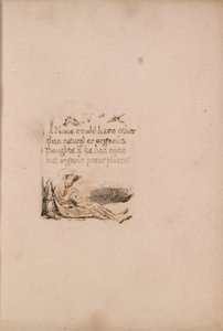 Doğal Din Yoktur, Levha 6, IV Hiçbiri Olamaz. . . . (Bentley a7) by William Blake