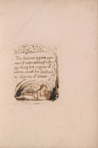 Doğal Din Yoktur, Levha 8, VI Arzular ve Algılar . . . . (Bentley a9) by William Blake