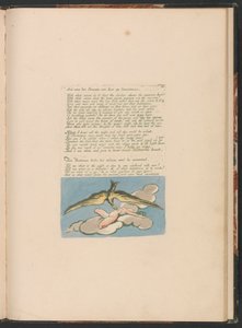 Albion'un Kızlarının Görüntüleri, Levha 6, "Ve Bromian'dan başkası..." by William Blake