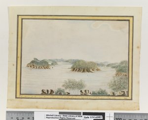 Op. P. 93. `SW. Girişteki bir adadan Broken Bay New South Wales kolu. Eylül 1789