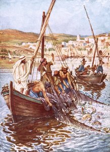 Çok sayıda balık by William Brassey Hole