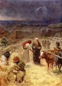 King David purchasing the threshing floor - Bible by William Brassey Hole