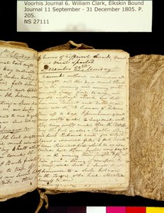 Clark Family Collection- Cilt 6. Elkskin Dergisi, sayfa 205, 22-23 Aralık 1805 by William Clark