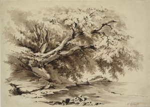 Bir gölden sarkan ağaçlarla dolu manzara by William Collingwood Smith