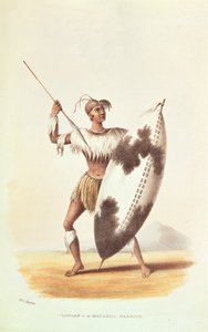 Lingap, bir Matabili Savaşçısı, W.C. Harris, 1841