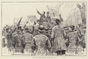 Hyde Park Toplantısı, 20 Kasım Pazar by William Douglas Almond