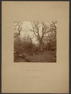  by William Drooke Harrison