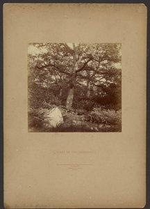  by William Drooke Harrison