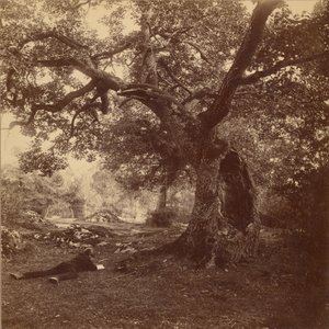 Fontainebleau Ormanı by William Drooke Harrison