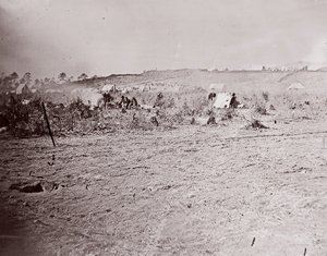 Fort Brady