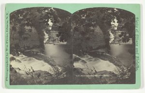 Yukarıdan Orman Şelalesi, Ithaca Gorge, 19. yüzyılın sonlarında. by William Frear