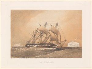  by William Frederick Mitchell