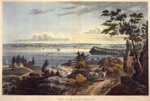 John Hill tarafından kazınmış Weehawk [Weehawken] dan New York, tarihsiz (aquatint)