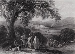 Nasıra Vadisi (gravür) by William H. Bartlett