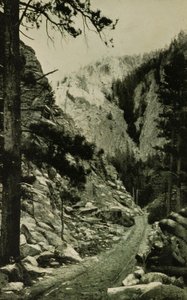  by William H. Jackson