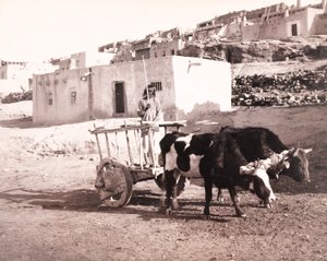  by William H. Jackson