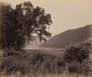 Susquehanna Yakın Wyalusing