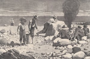 Deniz Kenarı Eskizleri - Bir Clam-Bake Harper
