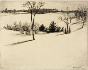  by William Harry Warren Bicknell