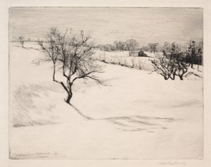 Hillside Çiftliği by William Harry Warren Bicknell