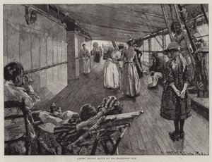 Avustralya Gemisinde Denizde Yaşam by William Hatherell