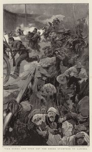 Türkler peşimizde! Yunan Stampede