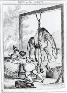 Zürafanın Durumu, 1829 by William Heath