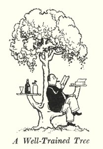 İyi Eğitimli Bir Ağaç (lito) by William Heath Robinson