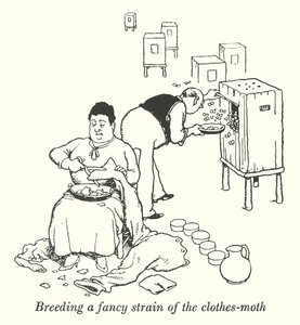 Giysi güvesinin süslü bir soyunu yetiştirmek (lito) by William Heath Robinson