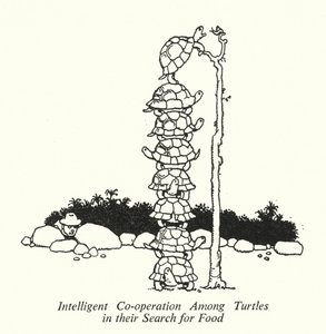 Yiyecek Aramalarında Kaplumbağalar Arasında Akıllı İşbirliği (lito) by William Heath Robinson