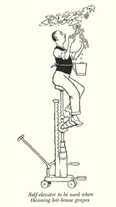 Sera üzümlerinin (litho) inceltilmesinde kullanılacak asansör by William Heath Robinson