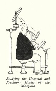 Sivrisineklerin Sosyal Olmayan ve Yırtıcı Alışkanlıklarının İncelenmesi (lito) by William Heath Robinson