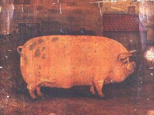 Ödül Domuz Jumbo II by William Henderson