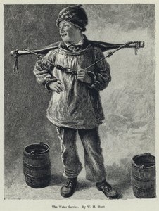 Su Taşıyıcı (lito)