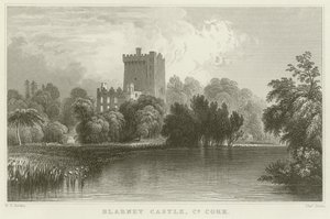 County Cork