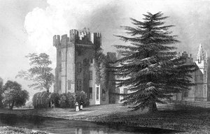 Henry Wallis tarafından oyulmuş, Witham, Essex yakınlarındaki Faulkbourne Hall, 1832 by William Henry Bartlett
