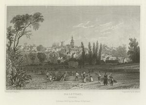 ಹಾಲ್ಸ್ಟೆಡ್, ಎಸೆಕ್ಸ್ ಟರ್ಕ್ by William Henry Bartlett