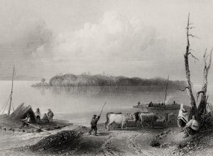 Donanma Adası, Niagara Nehri, Ontario, Kanada, Charles Coulson (1815-89) tarafından oyulmuş by William Henry Bartlett